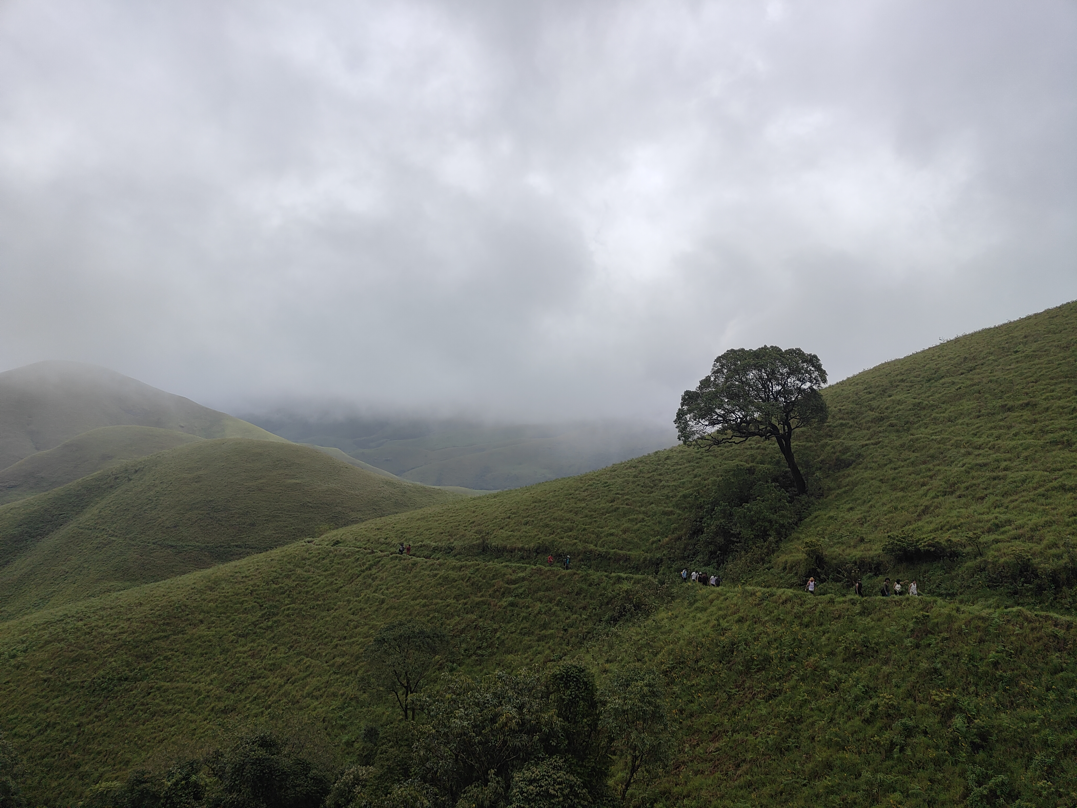 Best Monsoon Destinations Near Bengaluru (2026 Guide)